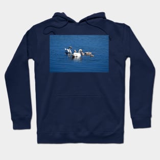 Swan Family Hoodie